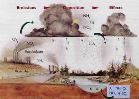 How acid rain is formed