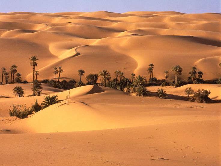 Subtropical Desert - Looking for a warm escape? Check out the beautiful desert oases of Libya.