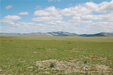 Desert and Steppe