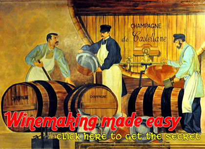 wine making made easy