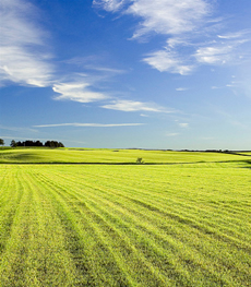 Farmland