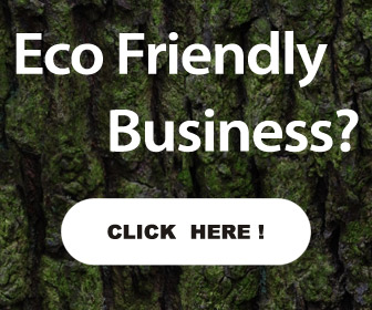 eco friendly bussines