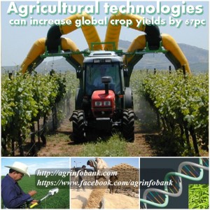 Agricultural technologies can increase global crop yields by 67pc 300x300 Agricultural technologies can increase global crop yields by 67pc