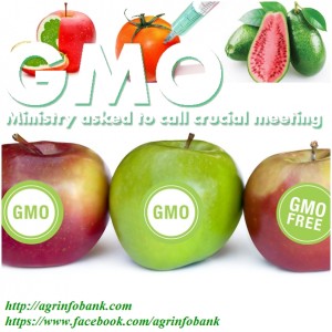 GMO challenges Ministry asked to call crucial meeting 300x300 GMO challenges: Ministry asked to call crucial meeting