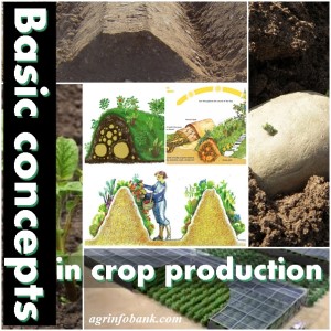 Basic concepts in crop production 300x300 Basic concepts in crop production