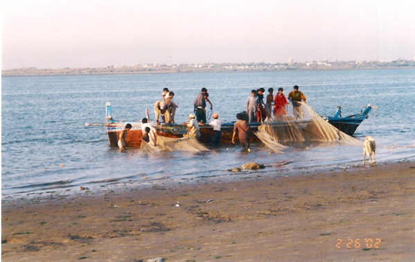 Absence of crew delays beginning of fishing season