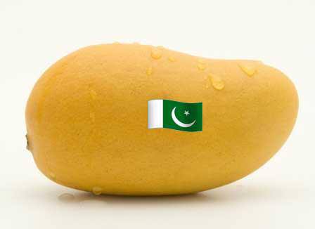 Mangoes and Pakistan
