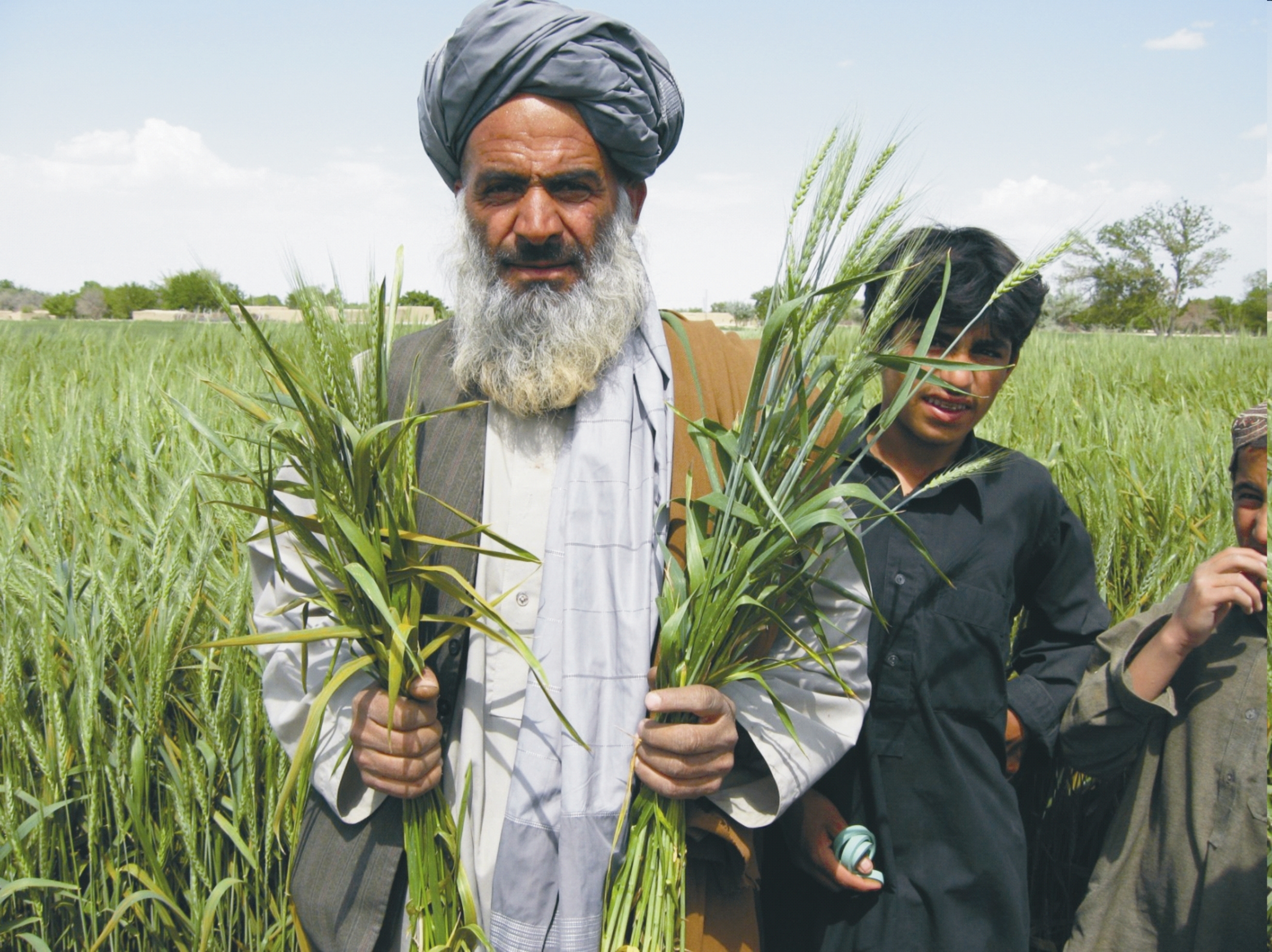 Agriculture in Pakistan: An Overview