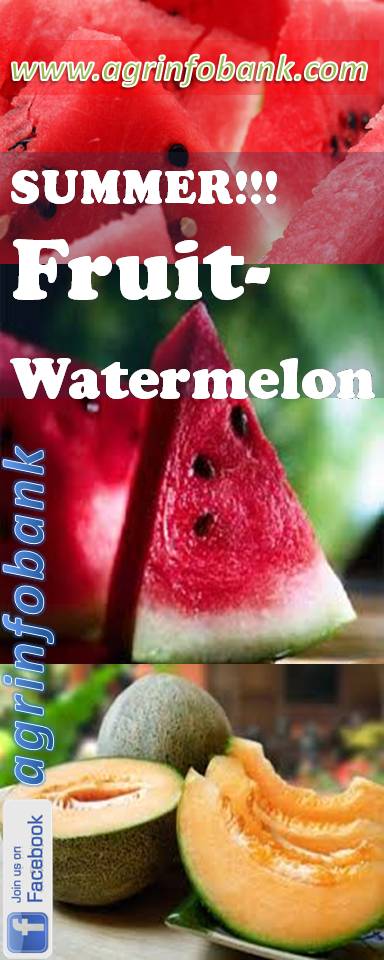 Watermelon