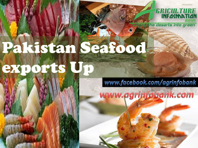 Seafood export of Pakistan