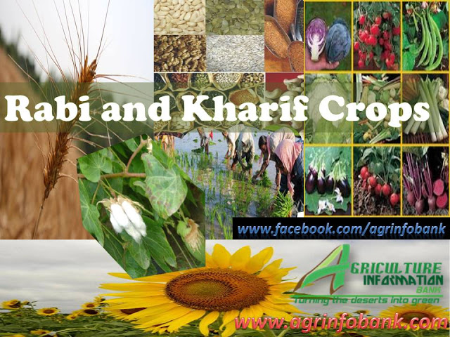 crop classifcation I www.agrinfobank.com