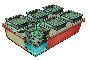 reservoir hydroponics growing systems