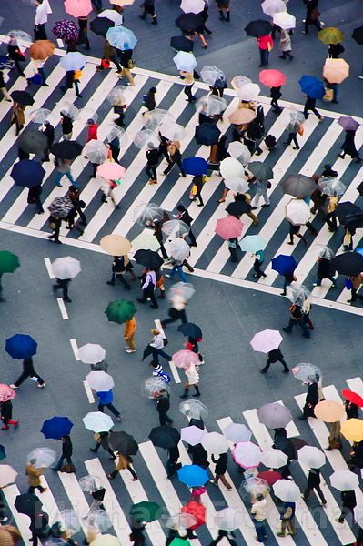 The World?s Growing Population - Adjacent to Hachik? Plaza is arguably one of the coolest intersections you will ever see in your life. The sheer energy of the place is enough to stop you dead in your tracks while you loudly proclaim to yourself, ?Wow ? I?m in Tokyo!?