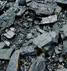 Coal