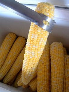 corn