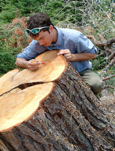 Dendrochronology