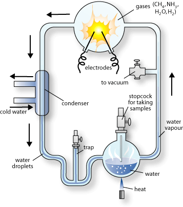 Evolution of Cells