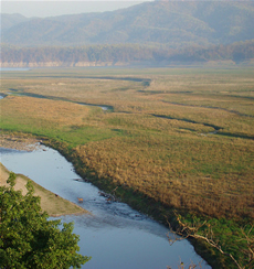 Types of Grasslands