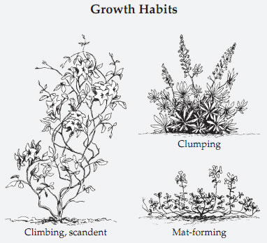 Growth Habits