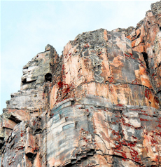 Petrified Wood in the United States