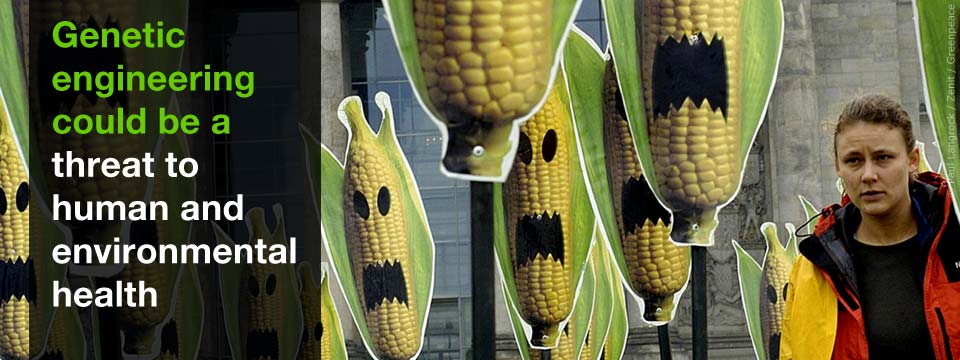 How to Avoid Genetically Engineered Food by Green Peace