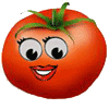 Tomato is a fruit!