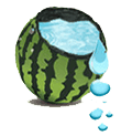 Watermelon used to carry water