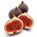 Eating fresh figs during pregnancy helps from prolonged labor 