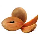 Sapodilla is a uniquely tasted fruit