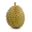 A durian is a large fruit with a powerful smell.