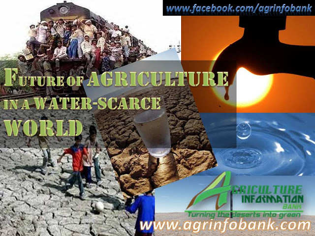 www.agrinfobank.com